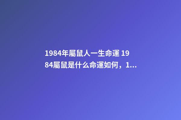 1984年屬鼠人一生命運 1984屬鼠是什么命運如何，1984年生人屬鼠是什么命-第1張-觀點-玄機派